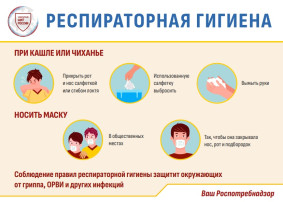 РЕСПИРАТОРНАЯ ГИГИЕНА РЕСПИРАТОРНАЯ ГИГИЕНА.